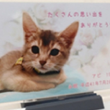 メモリアルフォトについて