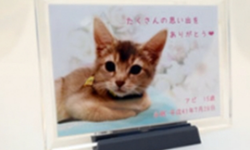 メモリアルフォトサービス