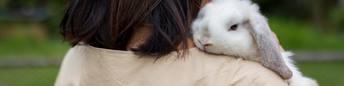料金・お見積り
