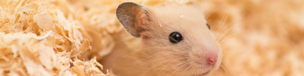 個人情報保護方針